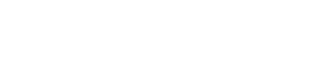 Daily Press Logo